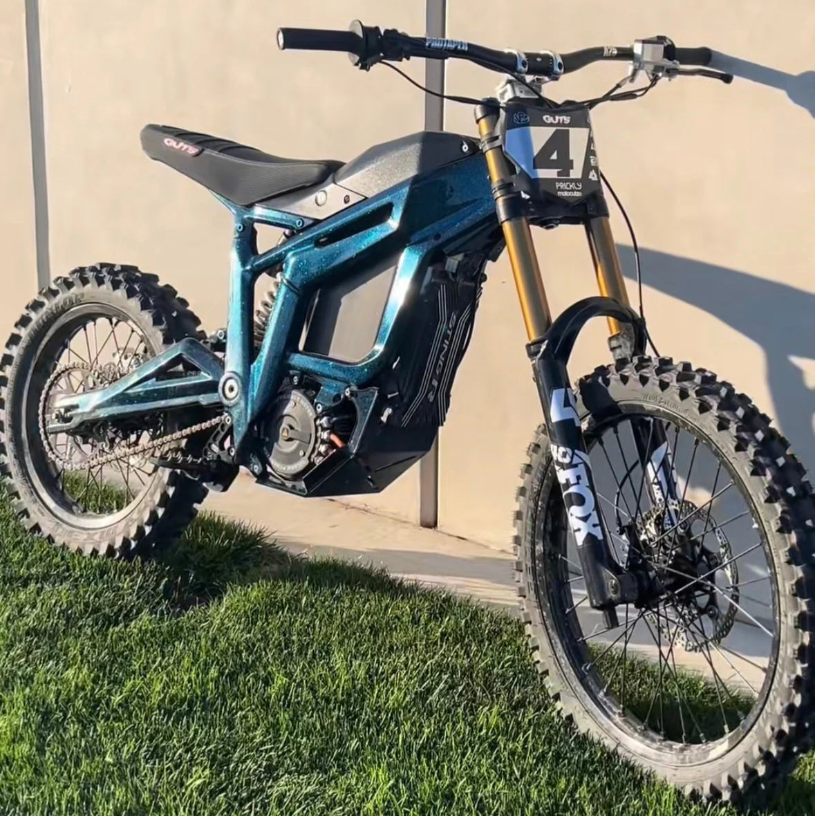 Frame guards for MX3 and MX4